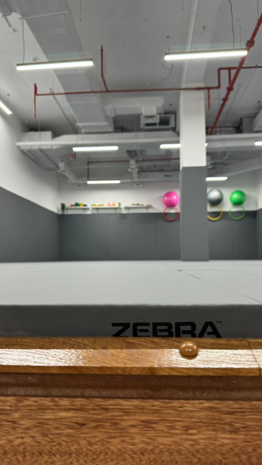Lagoon training floor with 120 square metres of mat space at Brazilian Jiu Jitsu School